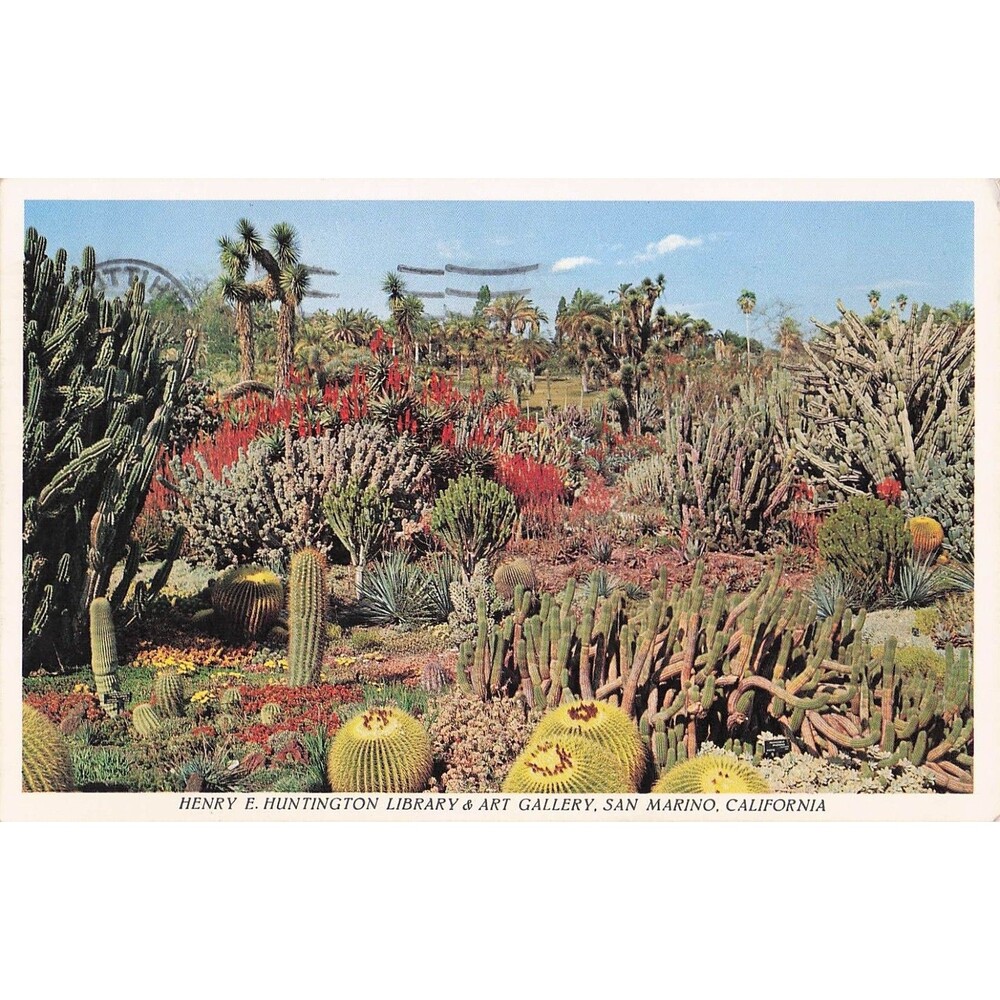 Henry Huntington Library Cactus Garden Postcard CA 3¢ Stamp 1960s Used VTG